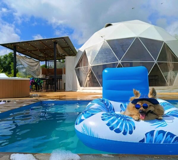 Kalinaya Dome Glamping
